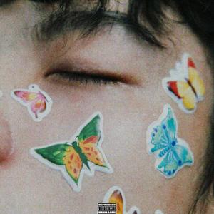 欧美午夜性爱网
