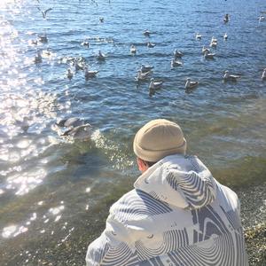 欧美午夜性爱网
