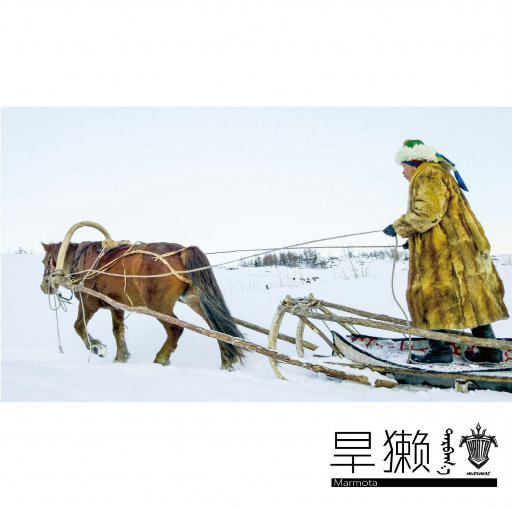 欧美午夜性爱网
